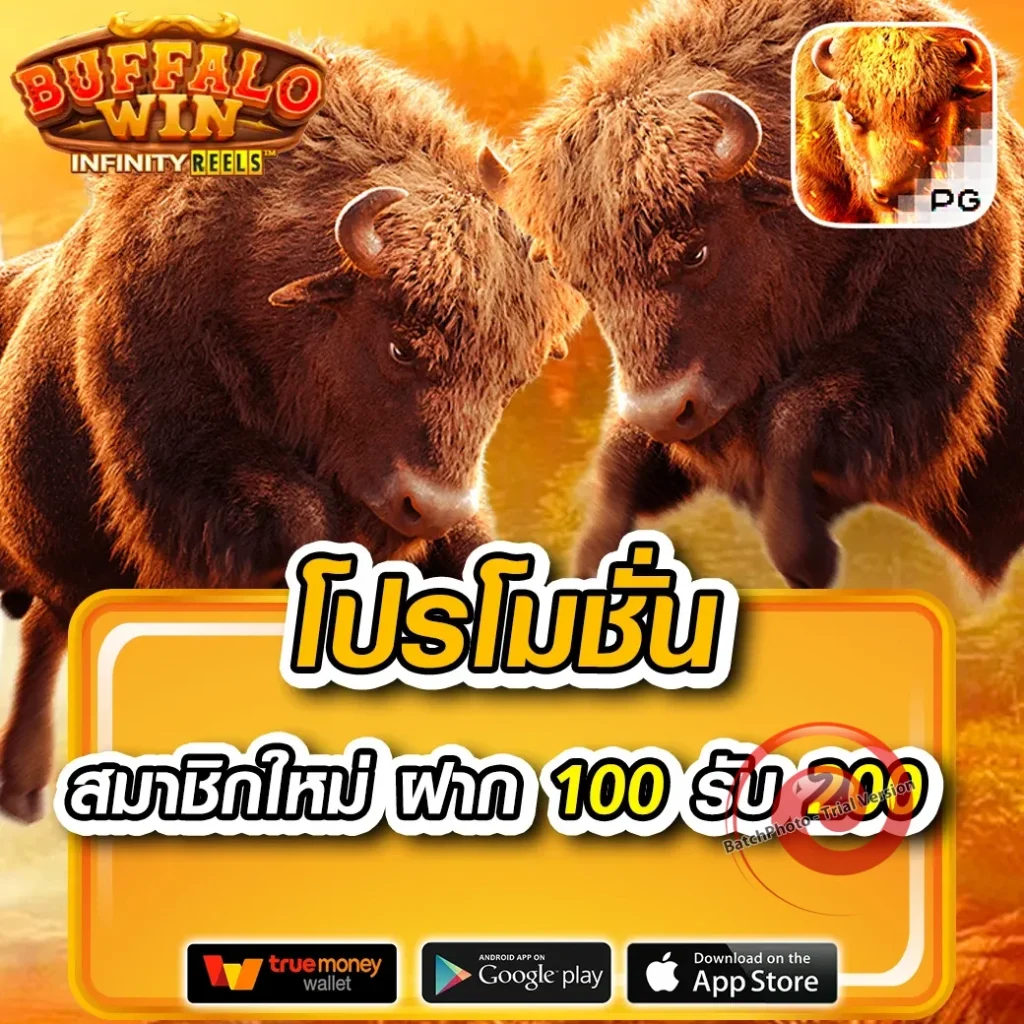 pg-racing app